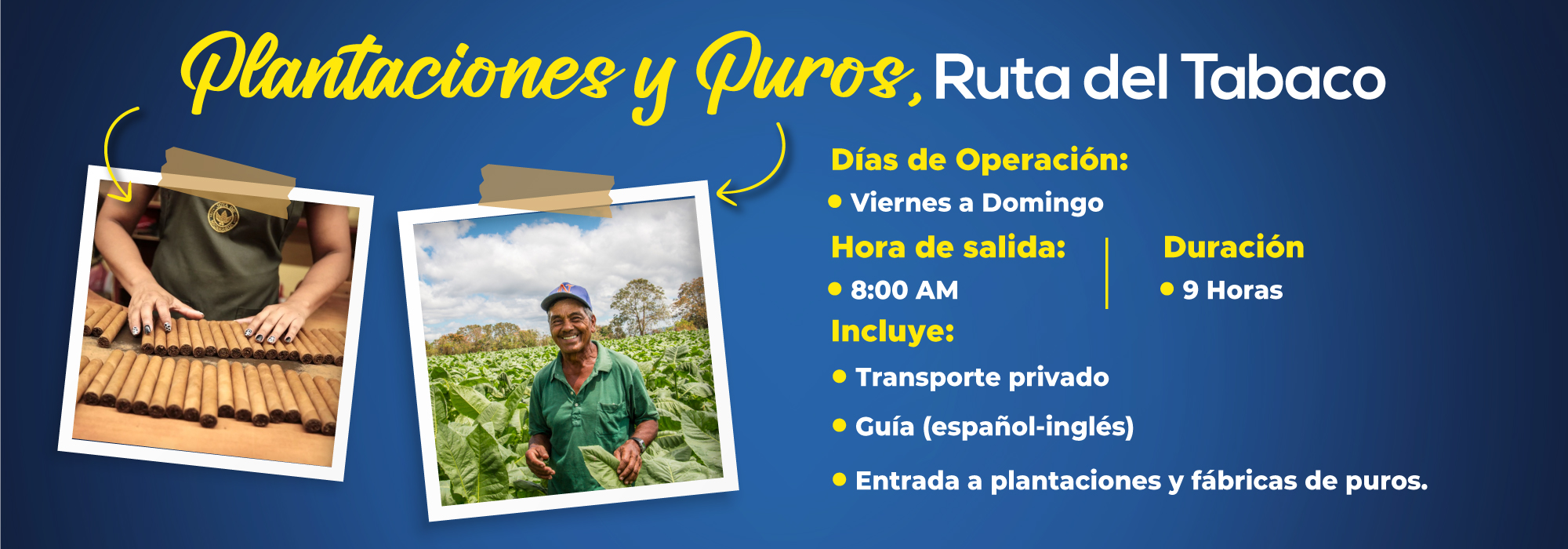 Plantaciones y Puros, Ruta del Tabaco